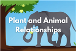 plant and animal relationships 